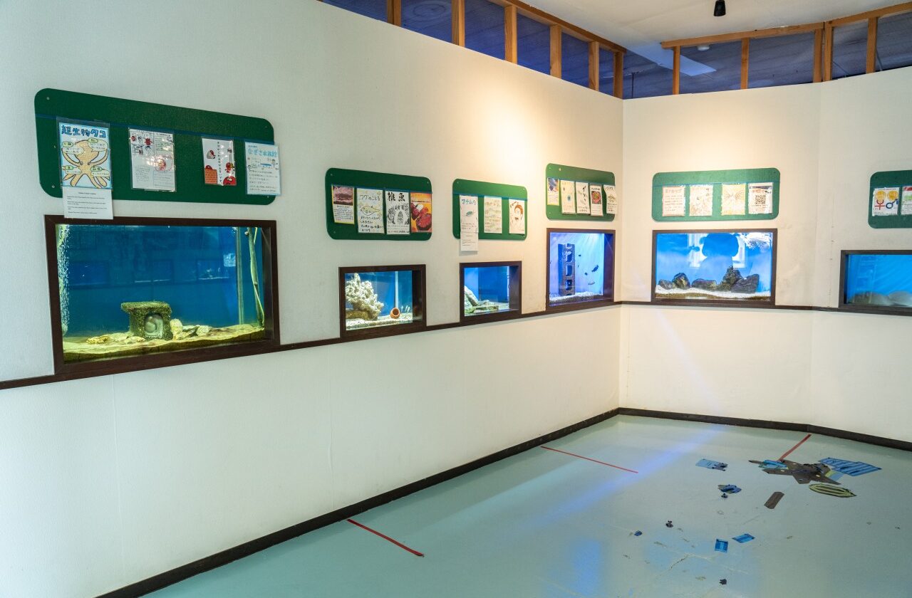 なぎさ水族館
