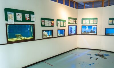 なぎさ水族館