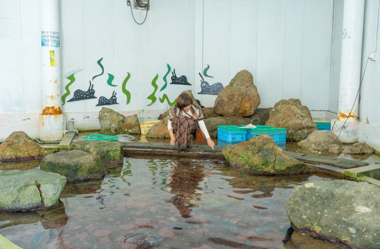 TSSテレビ新広島「そ～だったのかンパニー」でなぎさ水族館が放送されました！