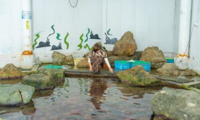 TSSテレビ新広島「そ～だったのかンパニー」でなぎさ水族館が放送されました！