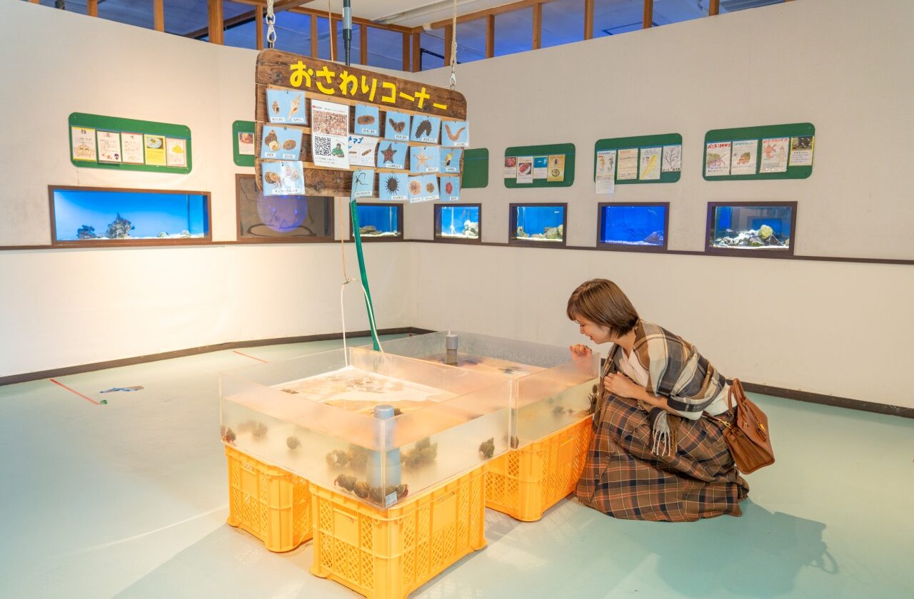 TSSテレビ新広島「そ～だったのかンパニー」でなぎさ水族館が放送されました！