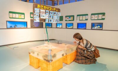 TSSテレビ新広島「そ～だったのかンパニー」でなぎさ水族館が放送されました！