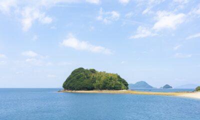 道の駅サザンセトとうわ