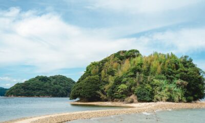行楽の秋は周防大島でフォトスポットめぐり