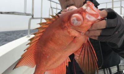 遊漁船　恵比寿丸
