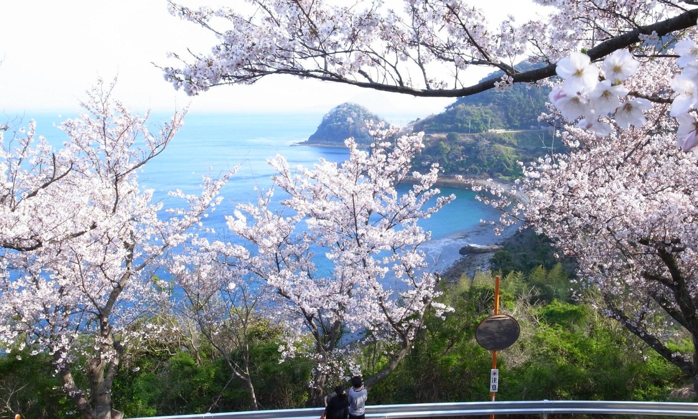 五条の千本桜