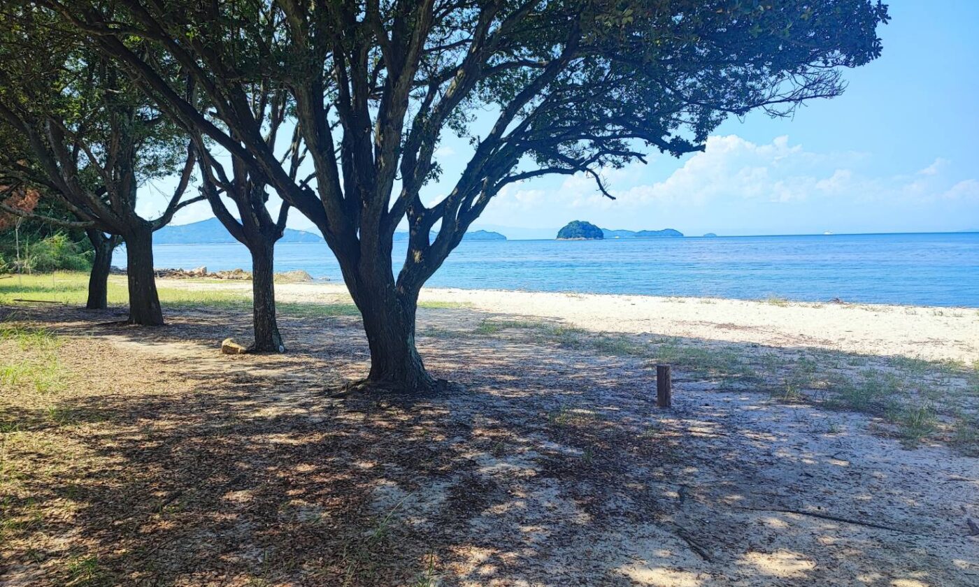 11/16(日)開催【海辺ではじめるスマートBBQのススメ】参加者募集中!