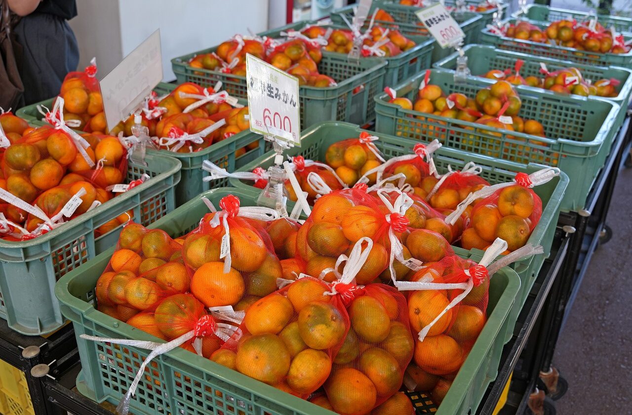 周防大島のお土産はやっぱり美味しい「みかん」で決まり！