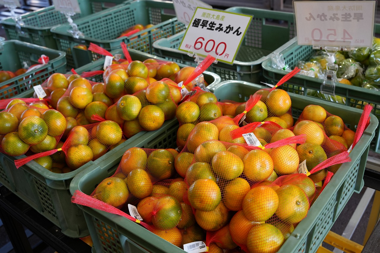 周防大島のお土産はやっぱり美味しい「みかん」で決まり！ | せとうち