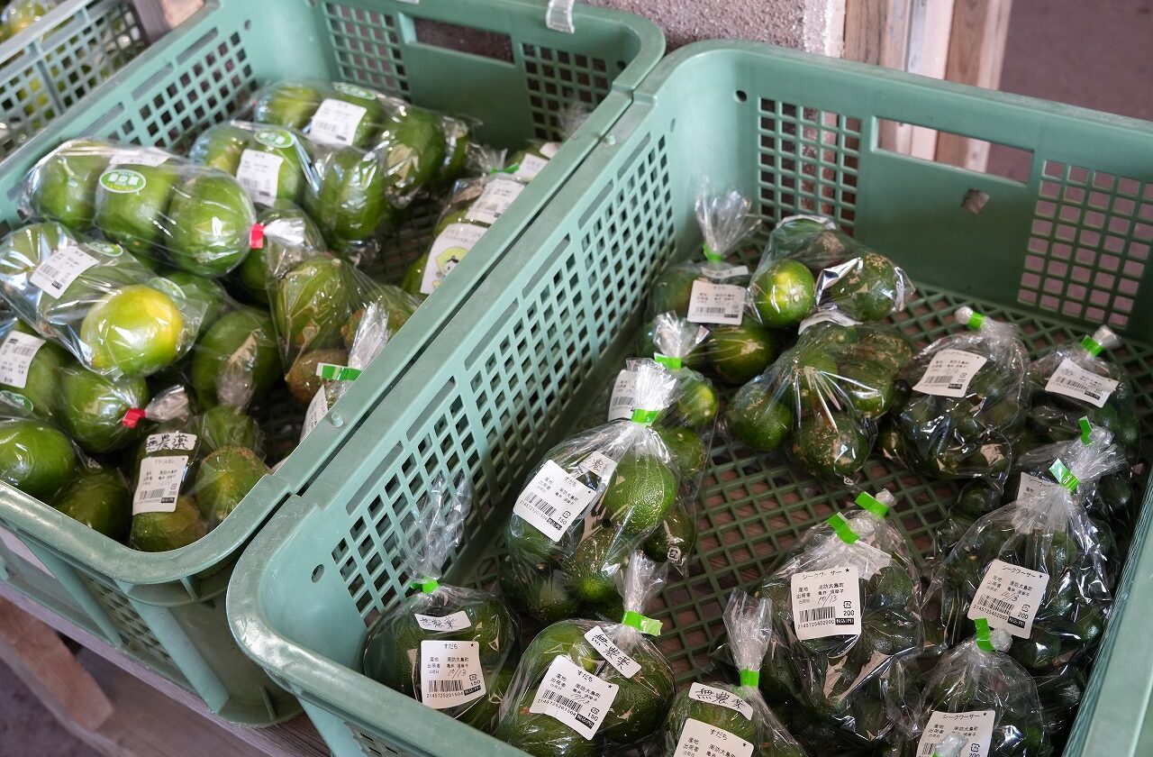 周防大島のお土産はやっぱり美味しい「みかん」で決まり！
