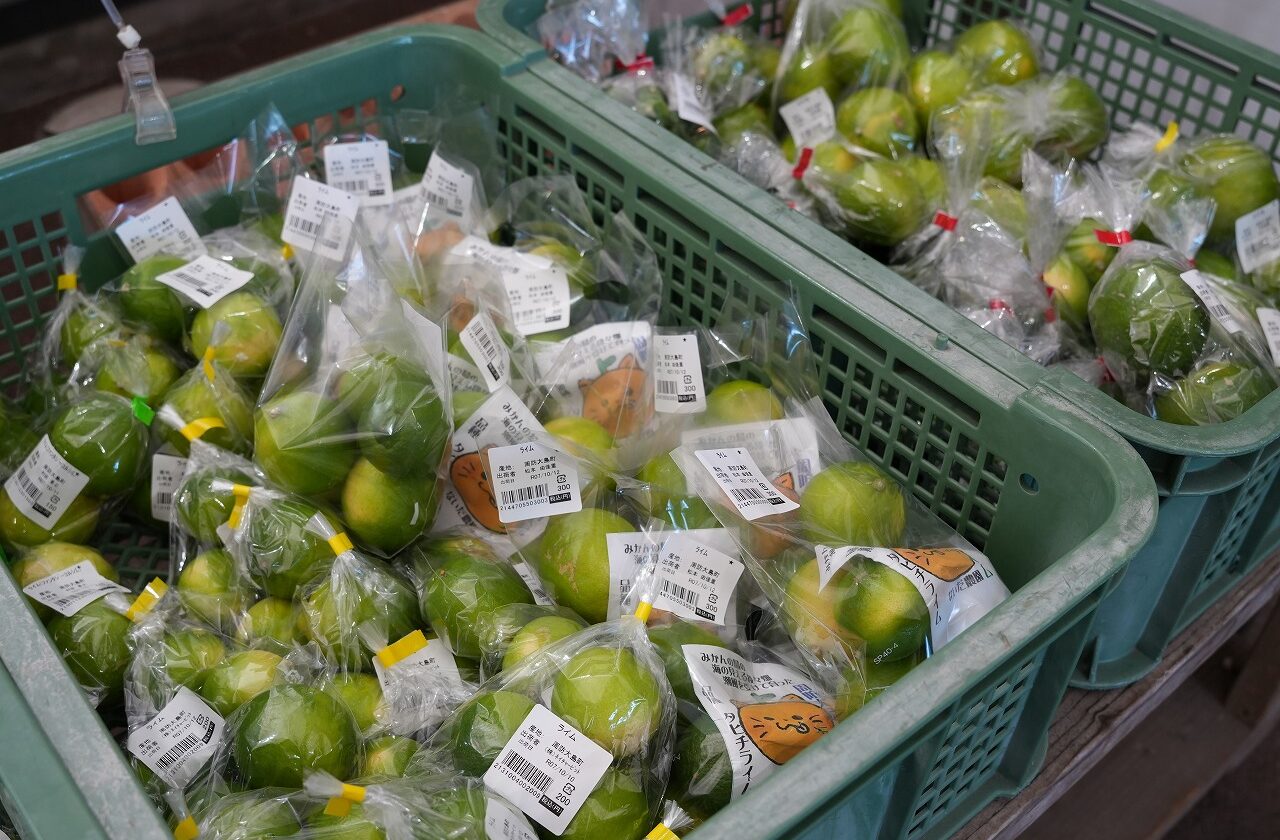 周防大島のお土産はやっぱり美味しい「みかん」で決まり！