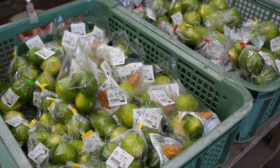 周防大島のお土産はやっぱり美味しい「みかん」で決まり！