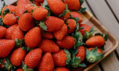 1/23(金)放送のkry every.「らいふ」にマリッサベリーファームが登場します!