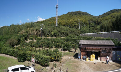 川元みかん園