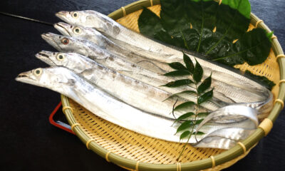 太刀魚の鏡盛り