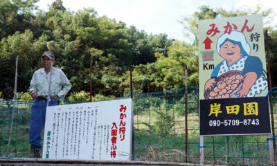 岸田みかん園