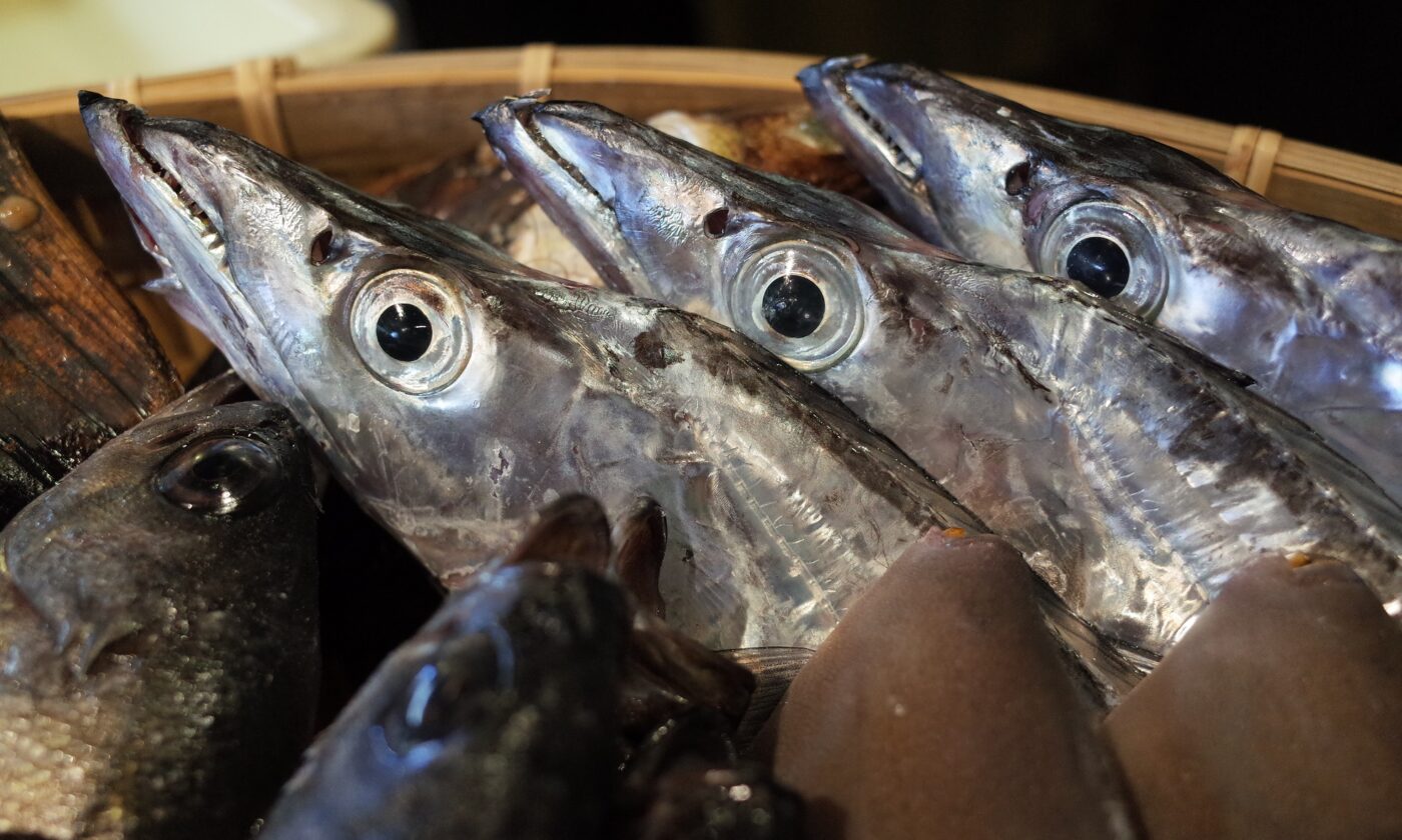 太刀魚の鏡盛り