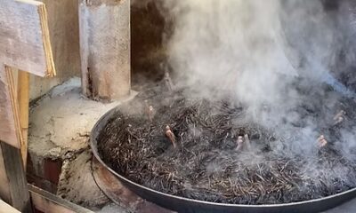 沖家室ひじき