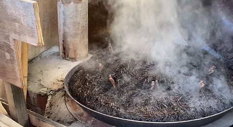 沖家室ひじき