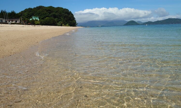 片添ヶ浜&逗子ヶ浜を管理する「東和ふるさとセンター」のHPが素敵にリニューアル!