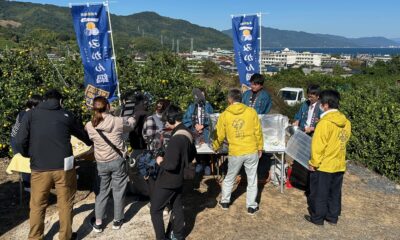 10/29（水）放送のKBC九州朝日放送「アサデス。7」は周防大島の佐々木みかん園から生中継！