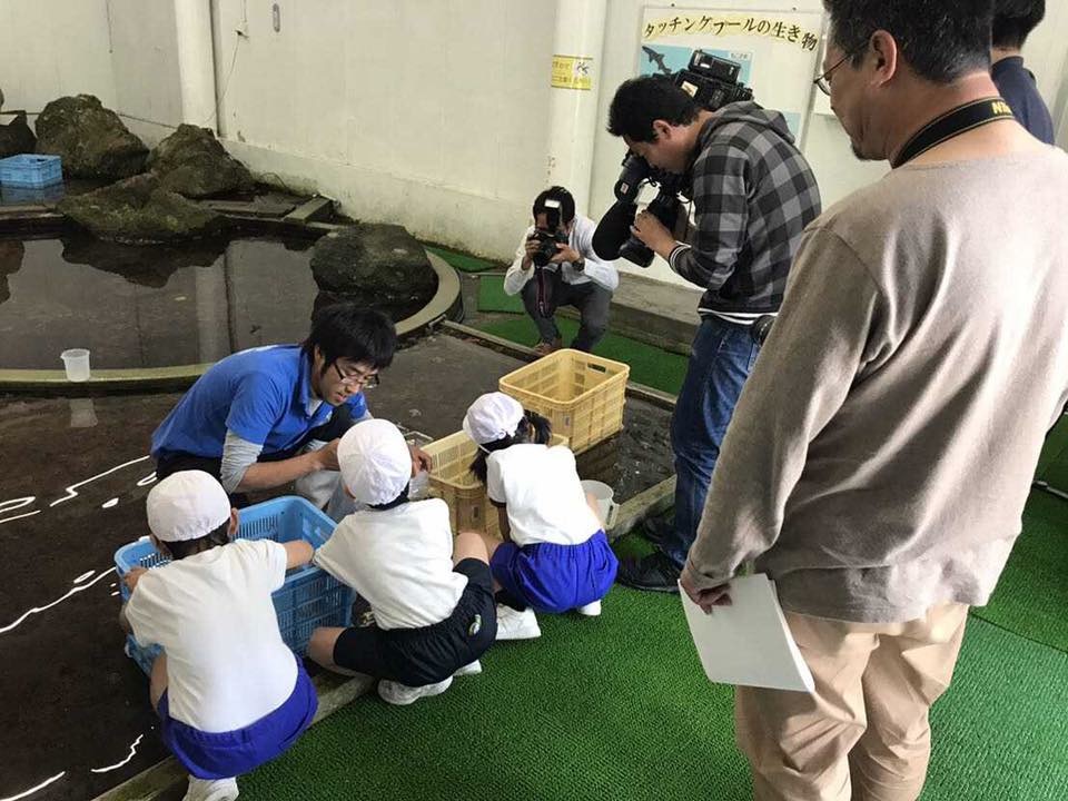なぎさ水族館