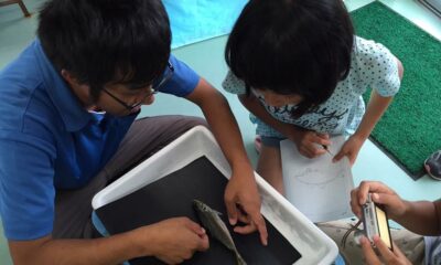 なぎさ水族館