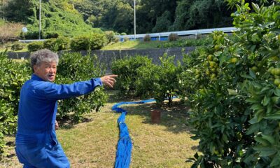 若林みかん園
