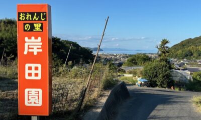 岸田みかん園