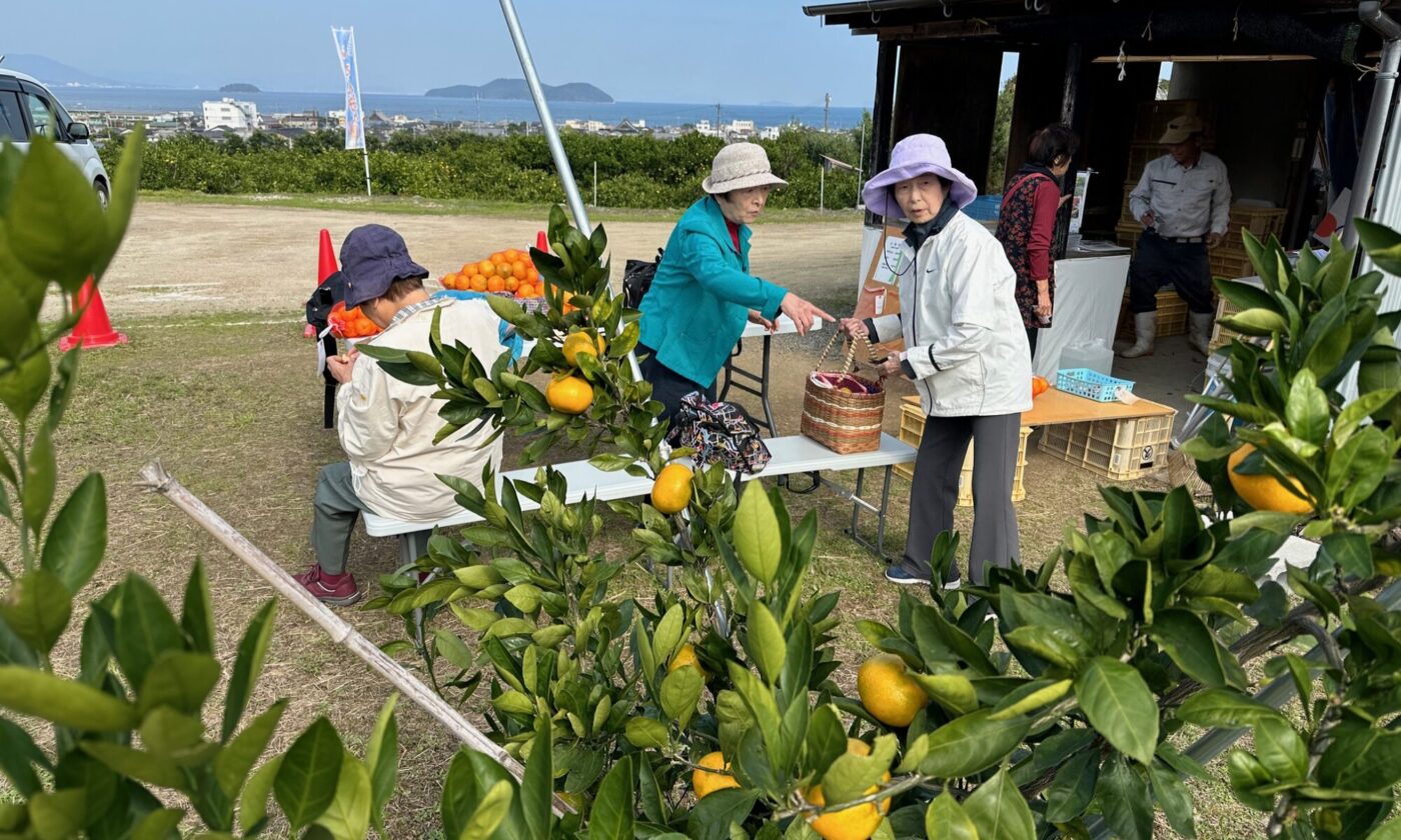 佐々木みかん園