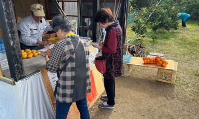 佐々木みかん園