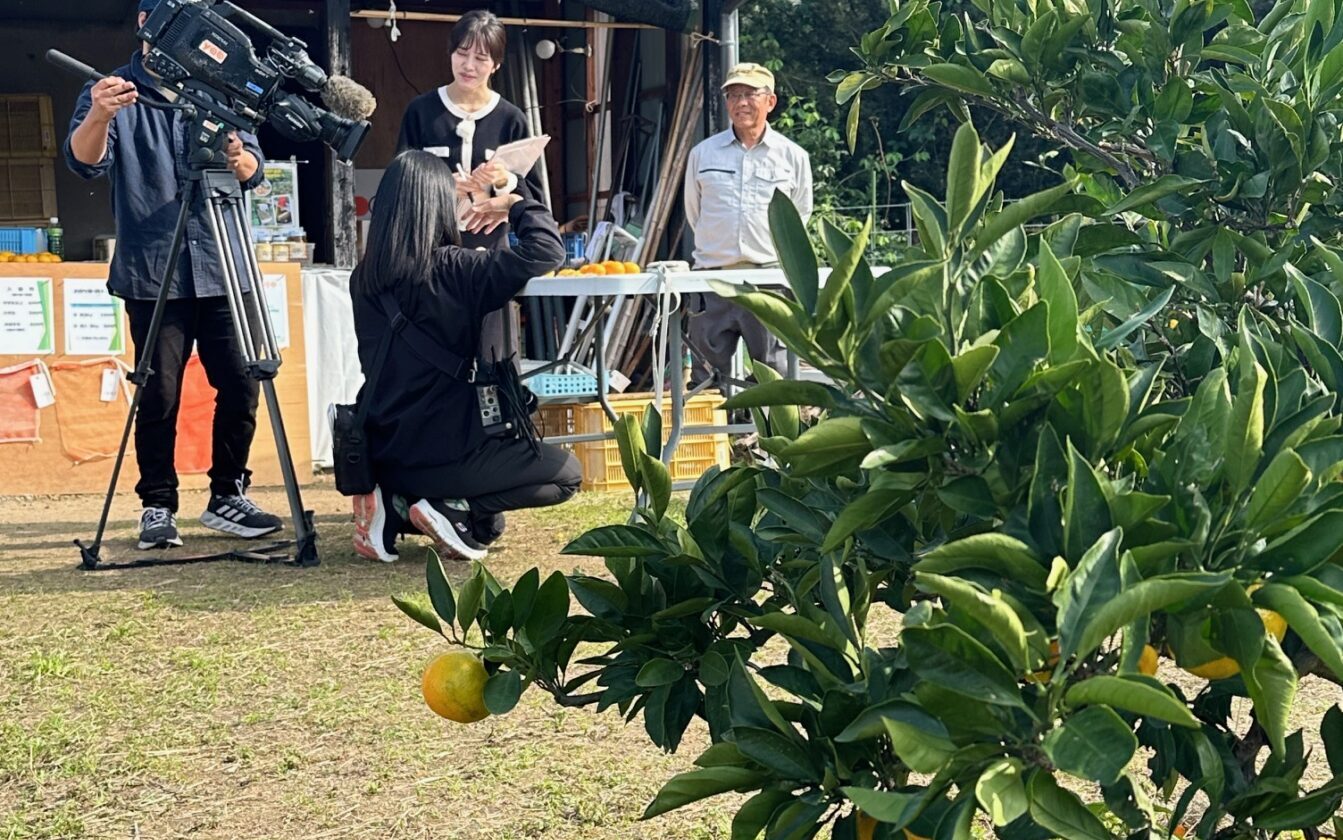 佐々木みかん園