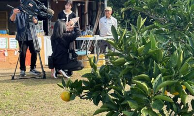 佐々木みかん園