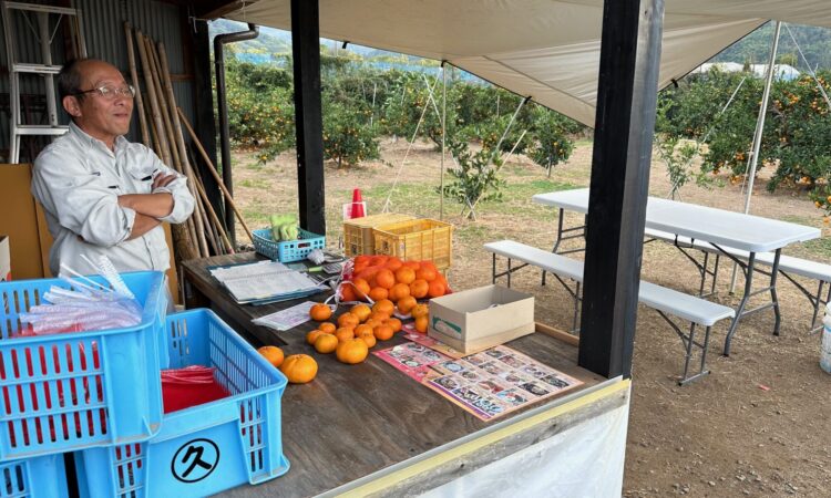 佐々木みかん園