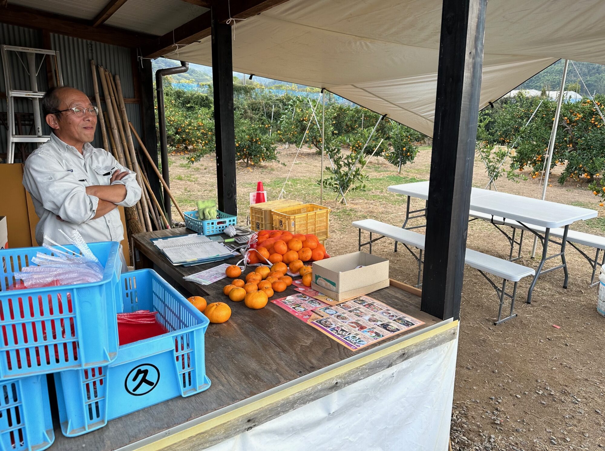 佐々木みかん園 | せとうちやまぐち周防大島［周防大島観光協会］