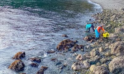 沖家室ひじき