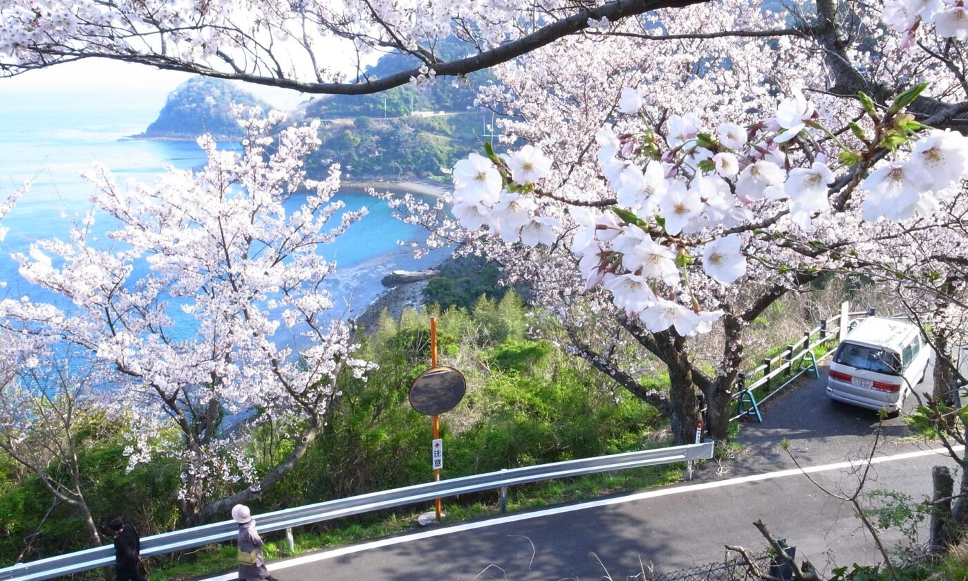 五条の千本桜