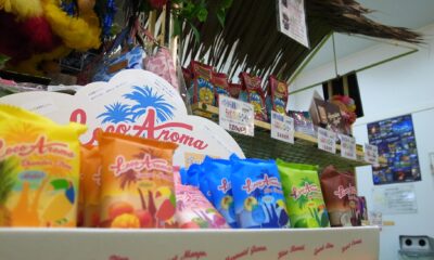グリーンステイながうら