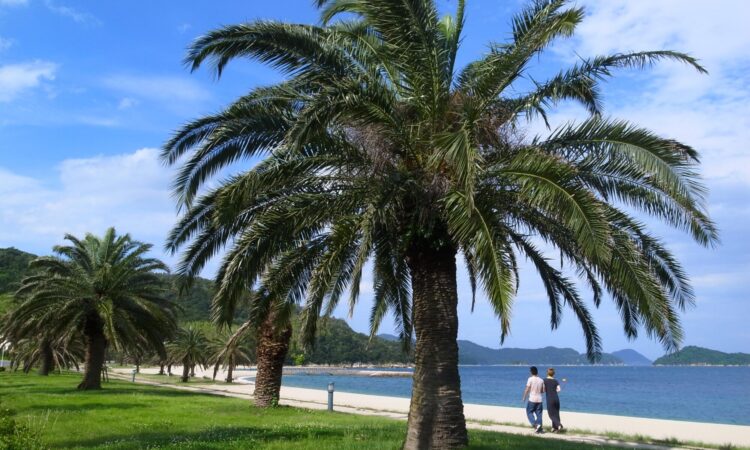 片添ヶ浜海水浴場