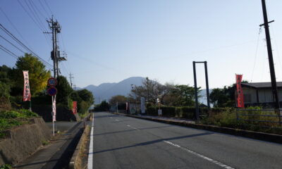 松田みかん園