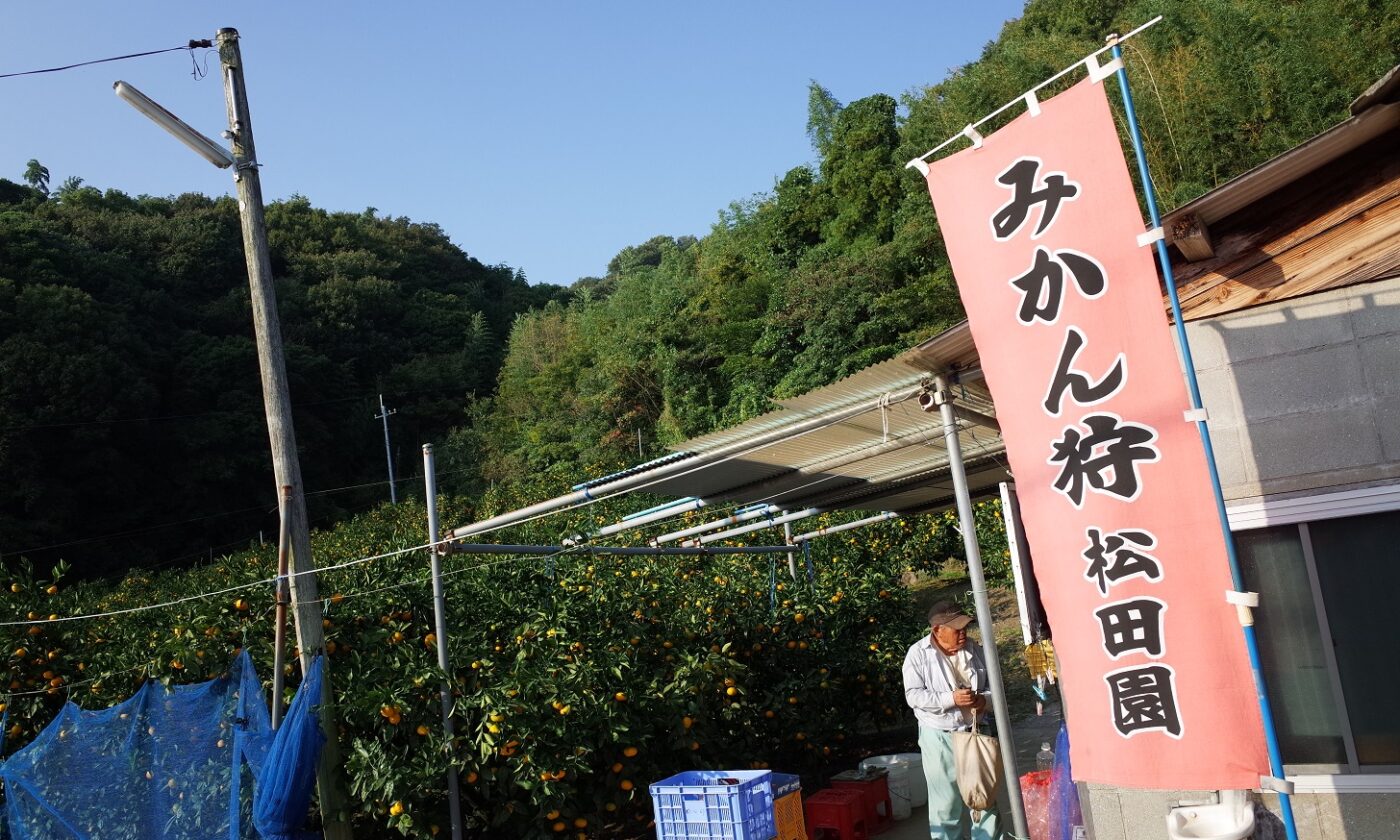 松田みかん園