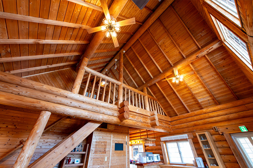 Beachfront Cabin
