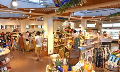 道の駅サザンセトとうわ