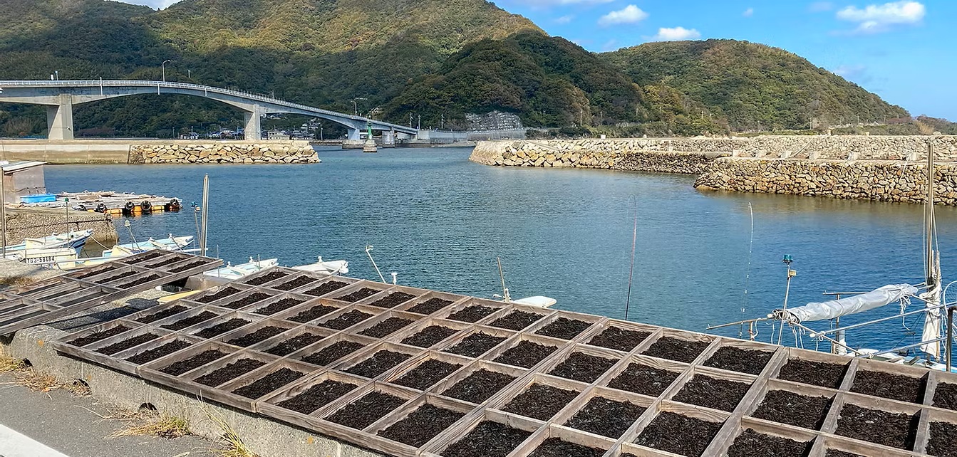 沖家室ひじき