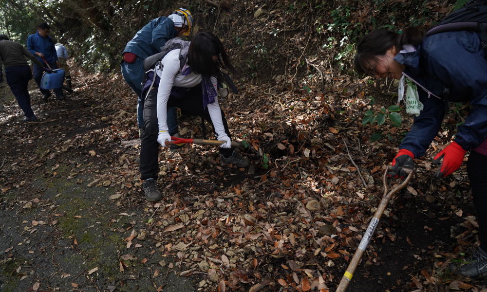 【瀬戸内アルプス登山道整備2026】笛吹峠~源明峠の大部分が復旧しました!
