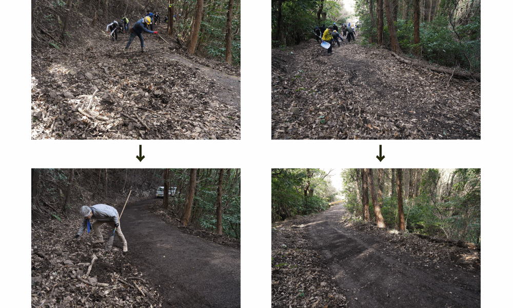 【瀬戸内アルプス登山道整備2026】笛吹峠~源明峠の大部分が復旧しました!