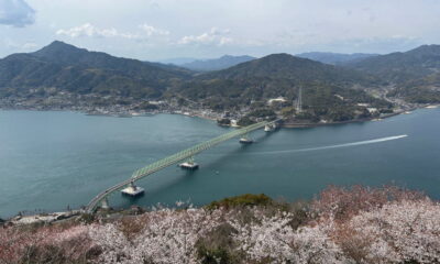 ありがとう「大島大橋」架橋50周年