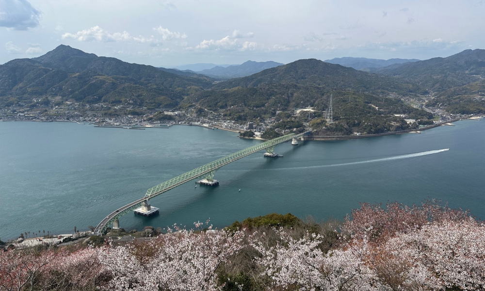 ありがとう「大島大橋」架橋50周年