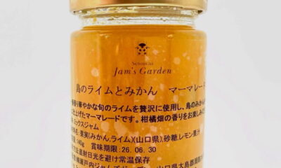 周防大島の「みかん狩り」は12月中旬まで