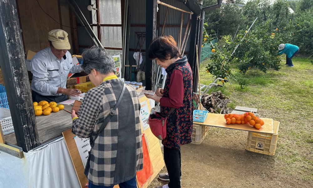 みかん狩りのお土産に「直販みかん」をお買い求めください
